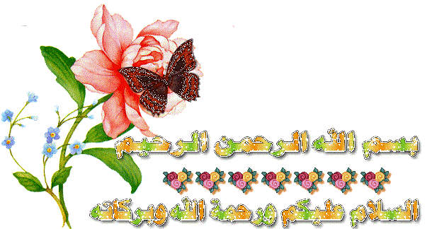 papillons-de-salam-aleykoum-en-arabe.gif